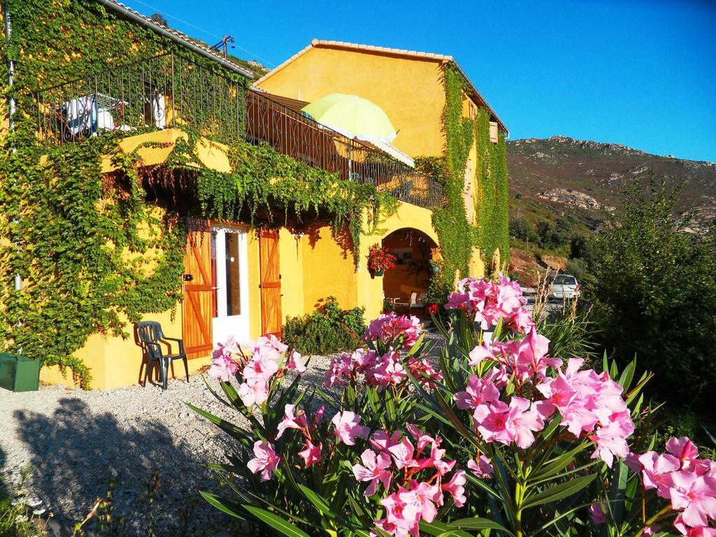 A Pianella Hotel Castirla Exterior photo