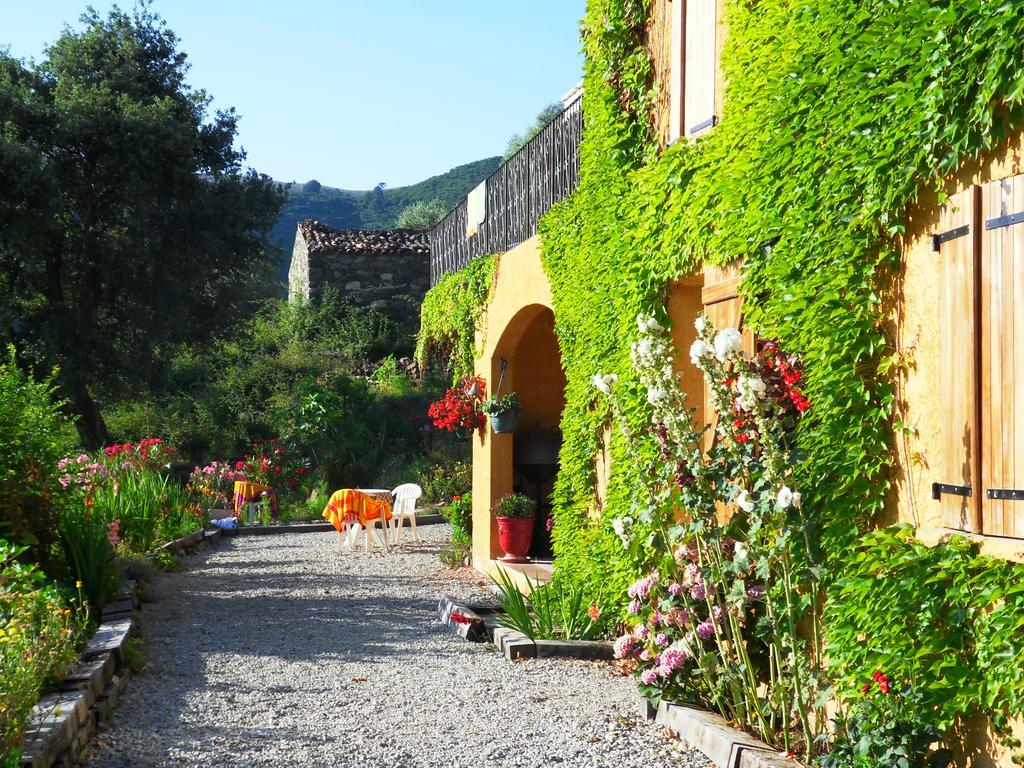 A Pianella Hotel Castirla Exterior photo