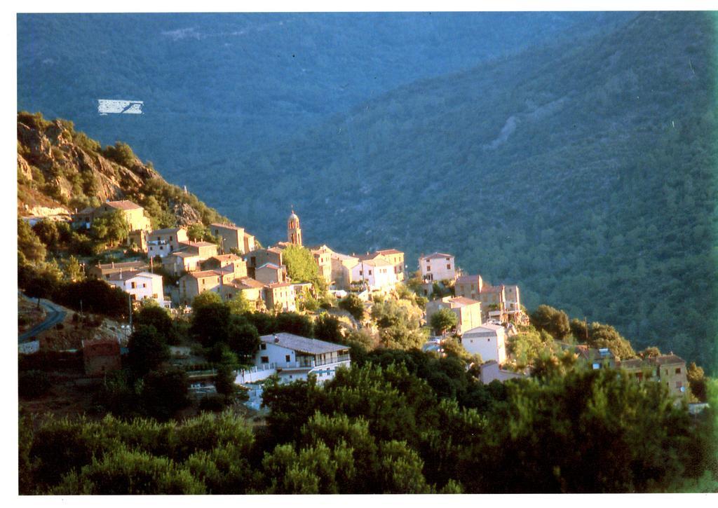 A Pianella Hotel Castirla Exterior photo